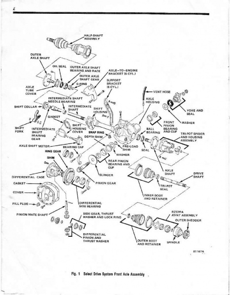 File:81tsmwik04.jpg